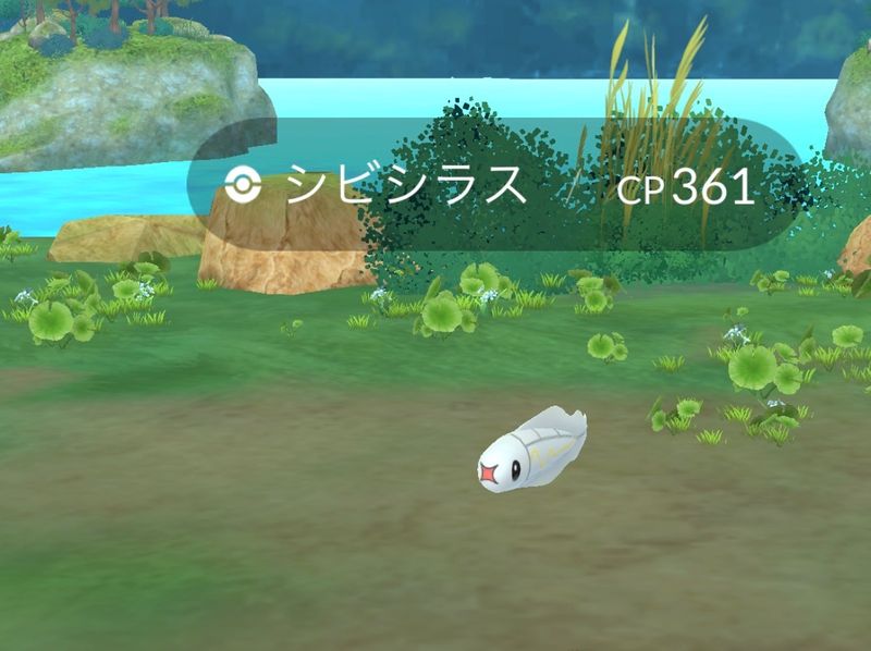 Content image