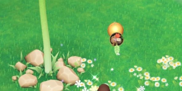 Eye catch