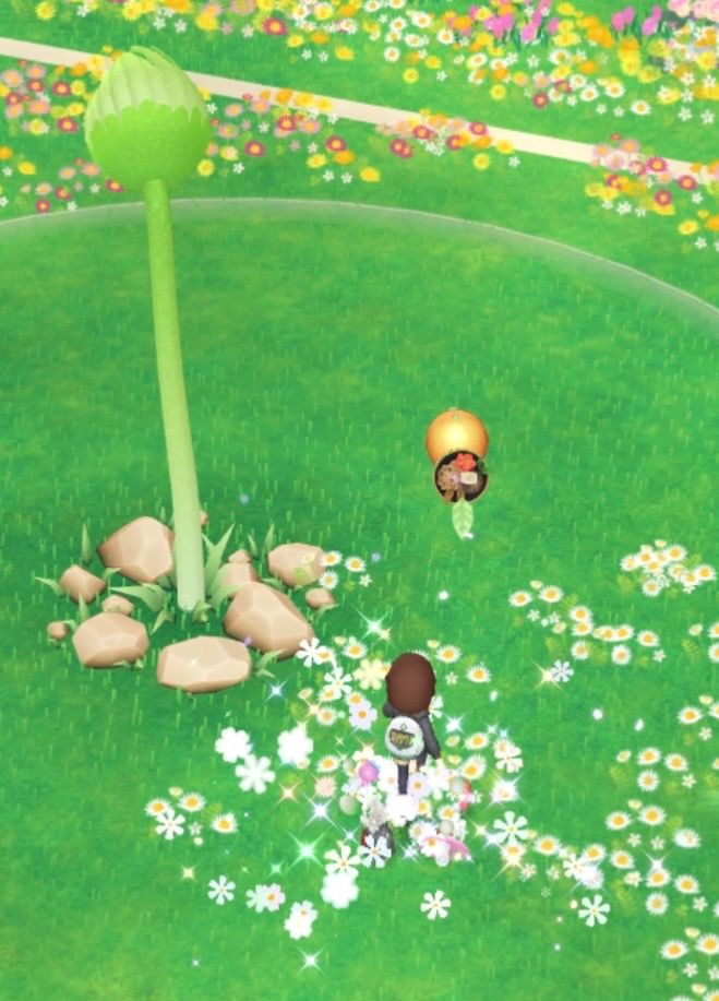 Content image