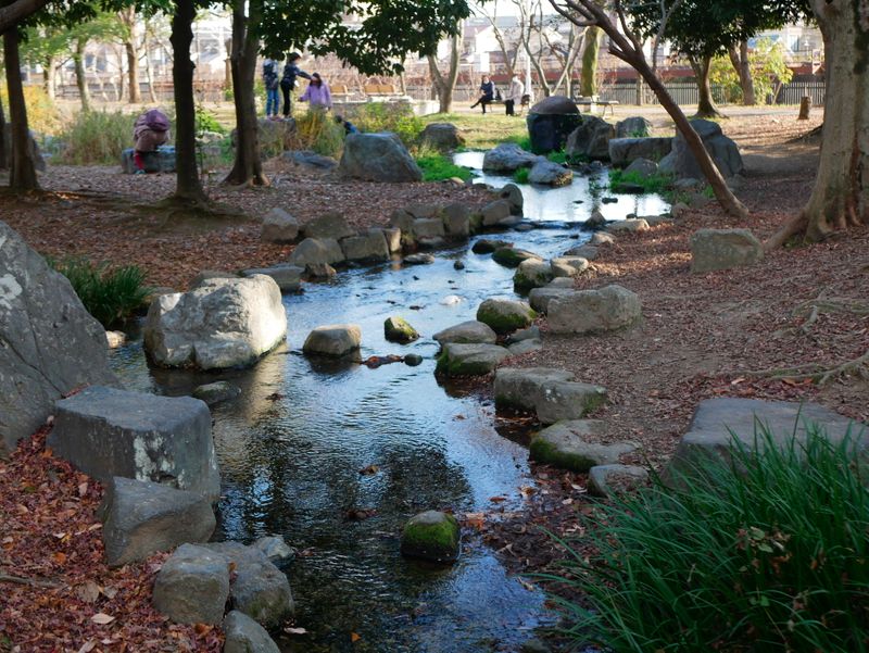 紅葉と梅が年末に同時に見られる不思議な季節の京都 梅小路公園を散歩 Alis