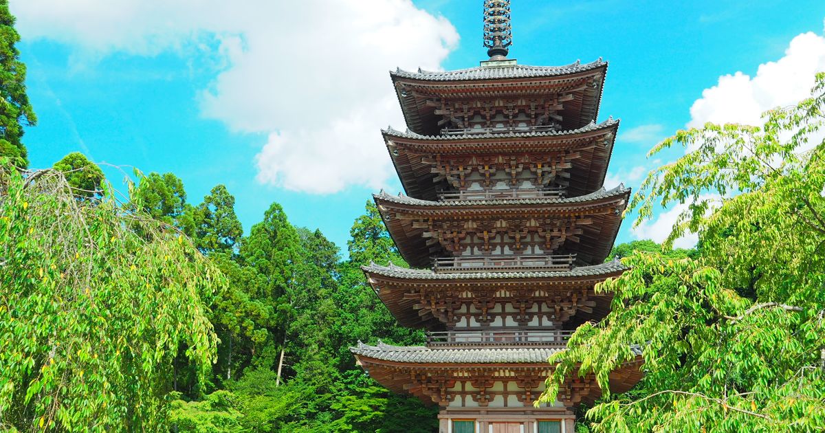 世界遺産 京都・醍醐寺を盛夏に訪ねる | ALIS