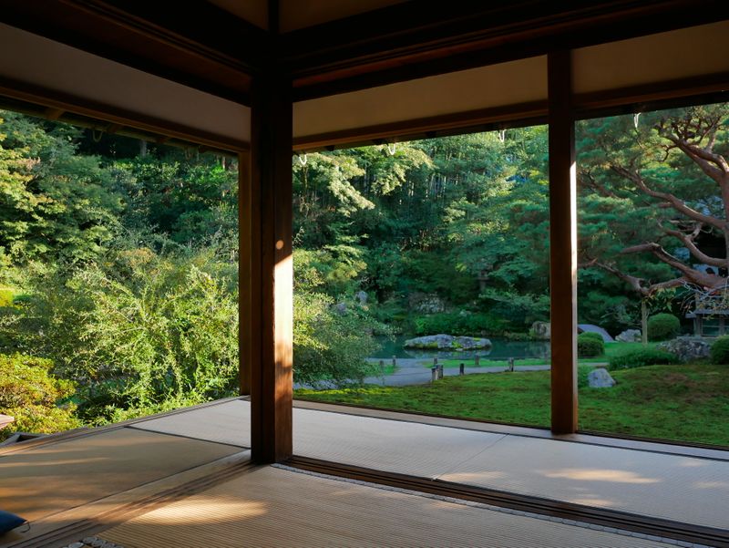 秋の美しい西日がさす京都・青蓮院門跡 | ALIS