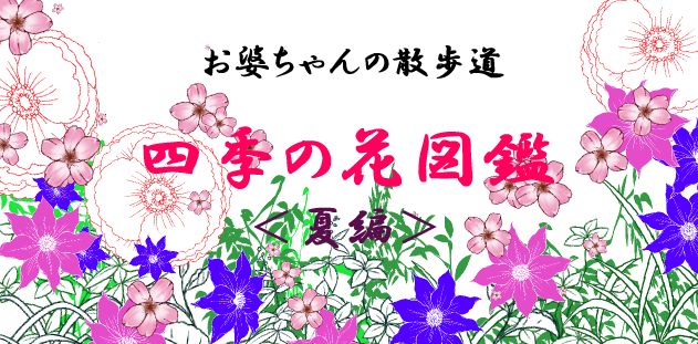 お婆ちゃんの花図鑑 Alis