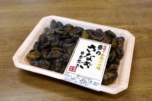 濃い長野県の名産品 ゲテモノ注意 Alis