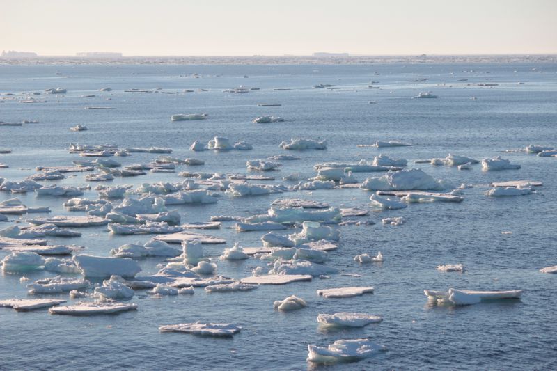 南極航海 吠える40度 狂う50度 絶叫する60度 Alis