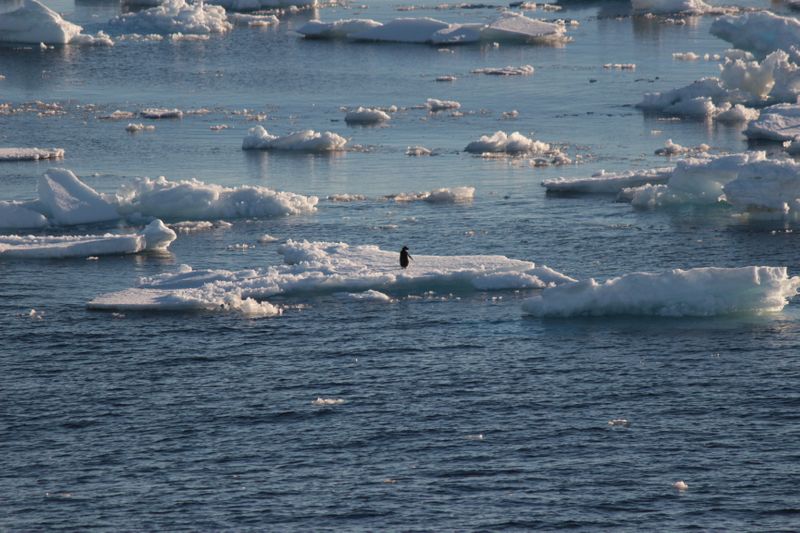 南極航海 吠える40度 狂う50度 絶叫する60度 Alis