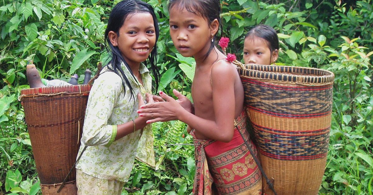 森との共存　ー　カンボジアのジャライ族（12)