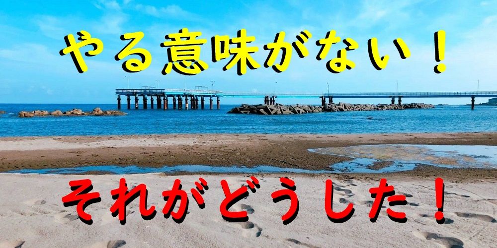 海の声が聞こえる 石地海岸清掃 Alis