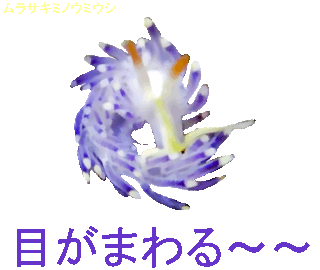 21 ムラサキミノウミウシ ウミウシ まるで龍のよう Alis