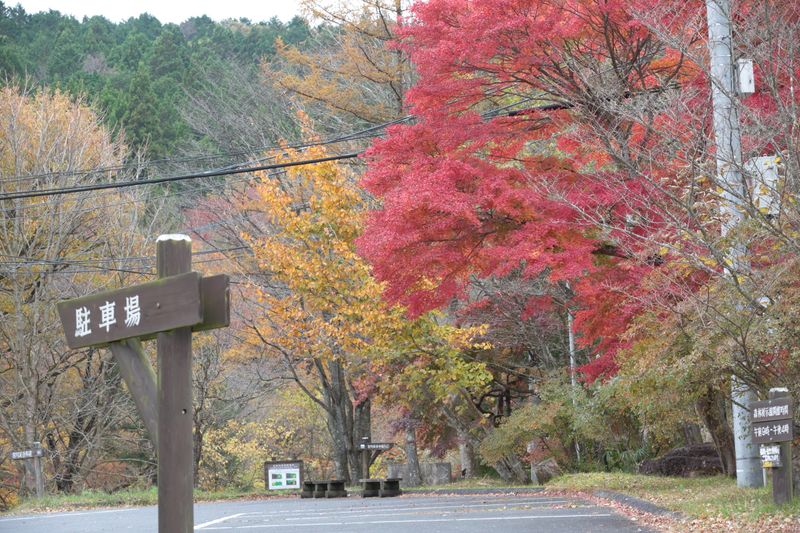 北関東 紅葉の穴場 その２ Alis