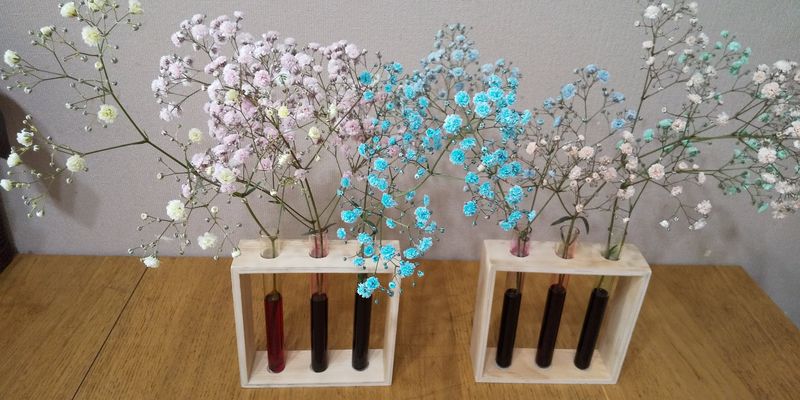 カラーかすみ草を作ろう Alis