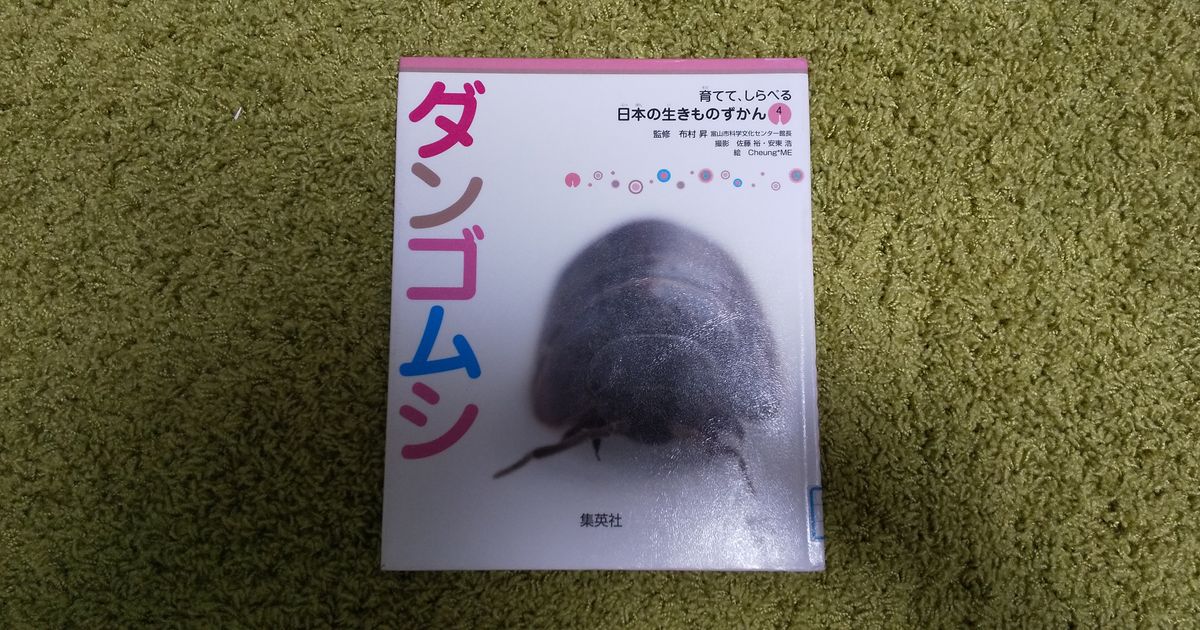 ダンゴムシを飼うことに その２ Alis