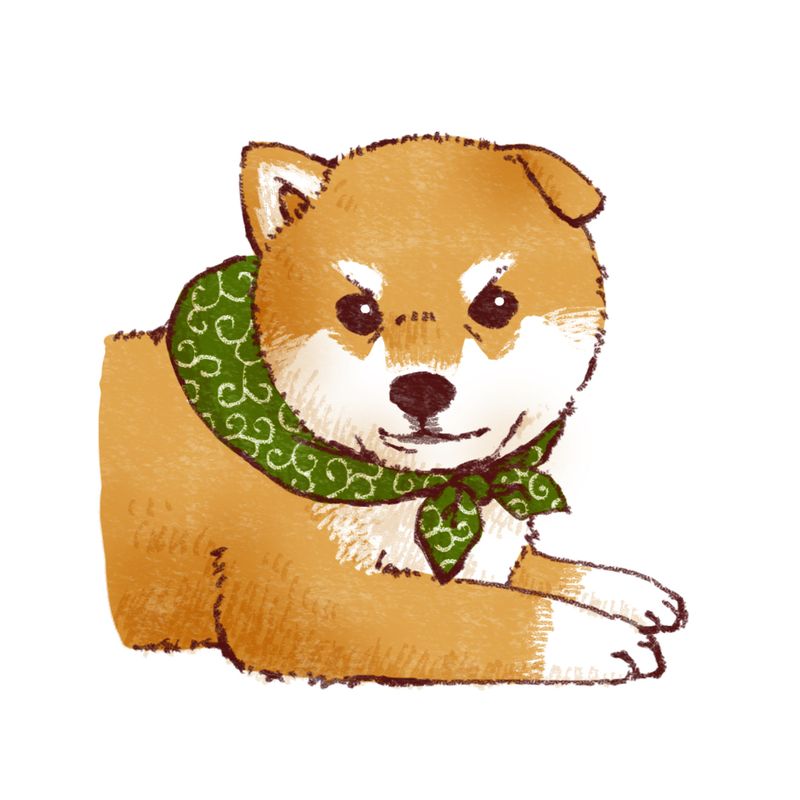 Content image