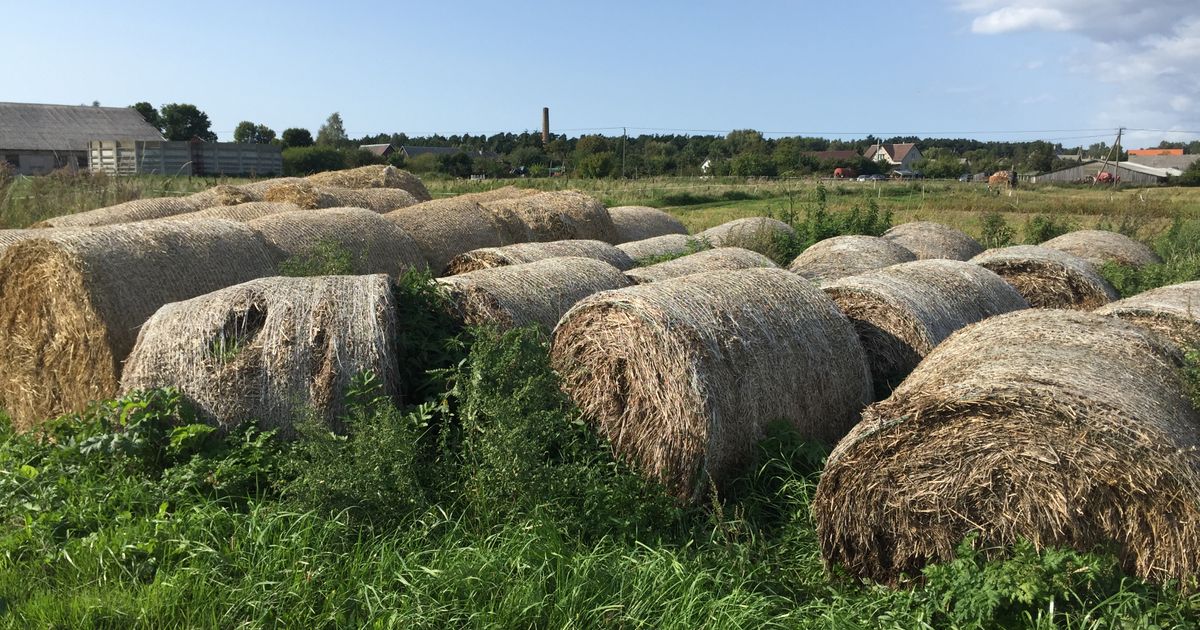 麦稈 麦わら ロールと牧草ロール Alis