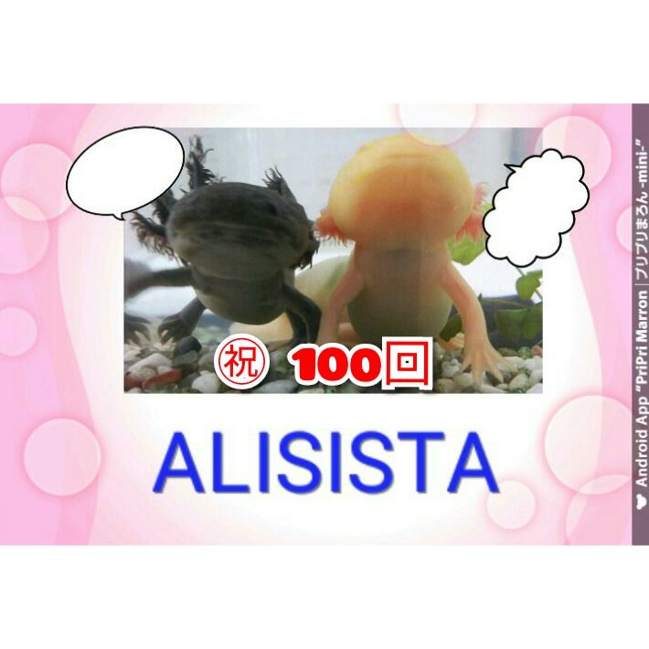 Content image