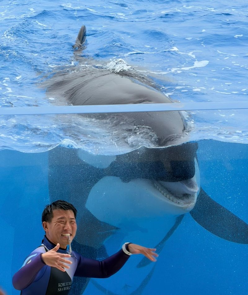 Content image